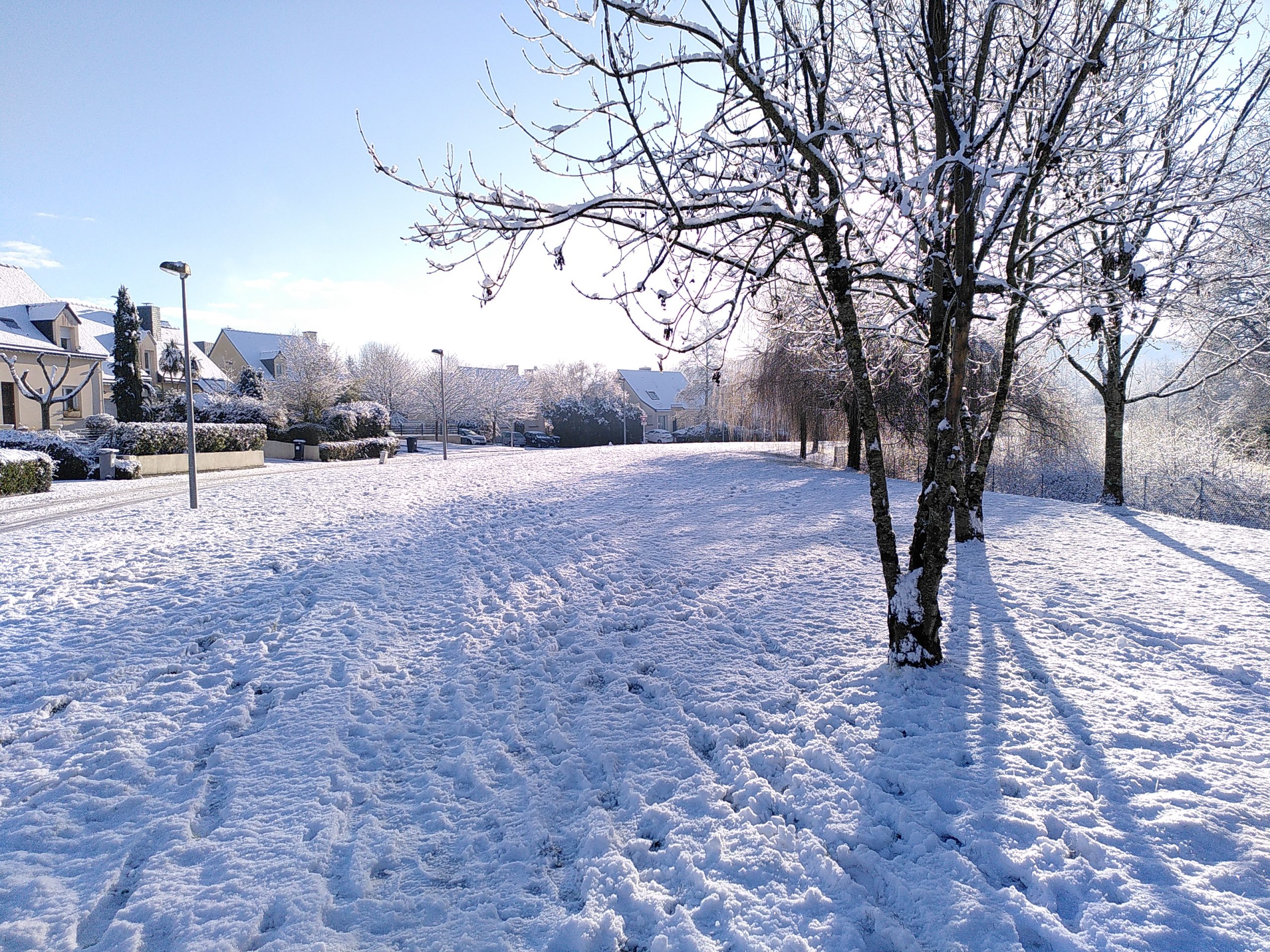 Pas de cours le mardi 6 janvier